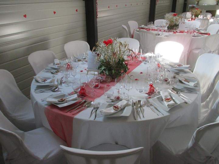 Décoration de table en rouge et blanc Lot